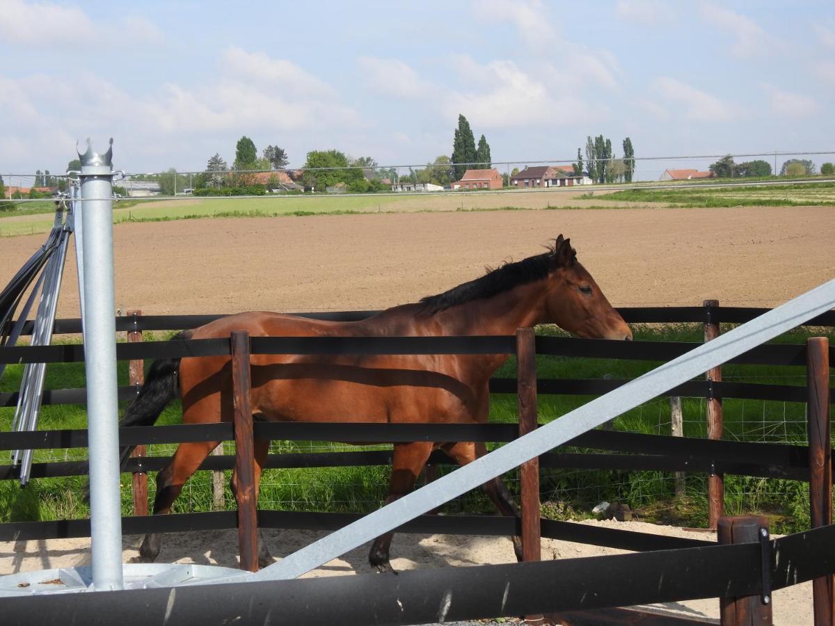 B&B De Linde Wijtschate Bagian luar foto