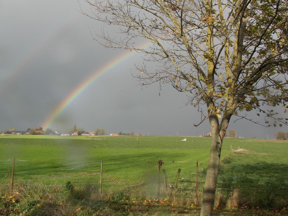 B&B De Linde Wijtschate Bagian luar foto