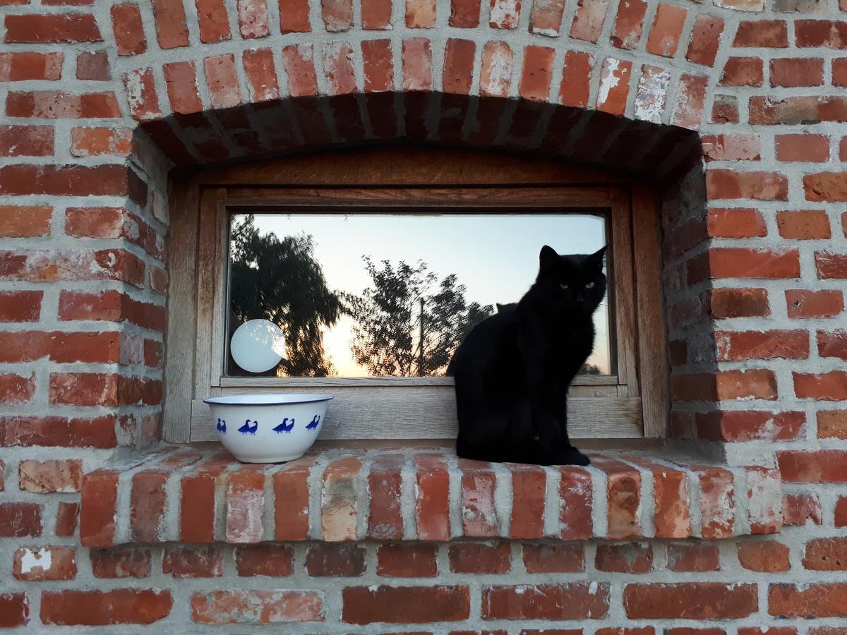 B&B De Linde Wijtschate Bagian luar foto