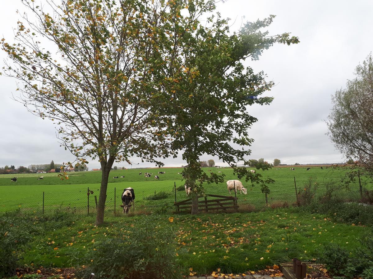 B&B De Linde Wijtschate Bagian luar foto
